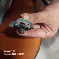 Fred the frogtupus-2