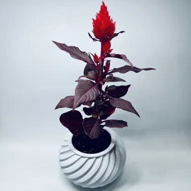 Desk Flowerpot-1