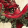 avatar of Th3RedKrakken