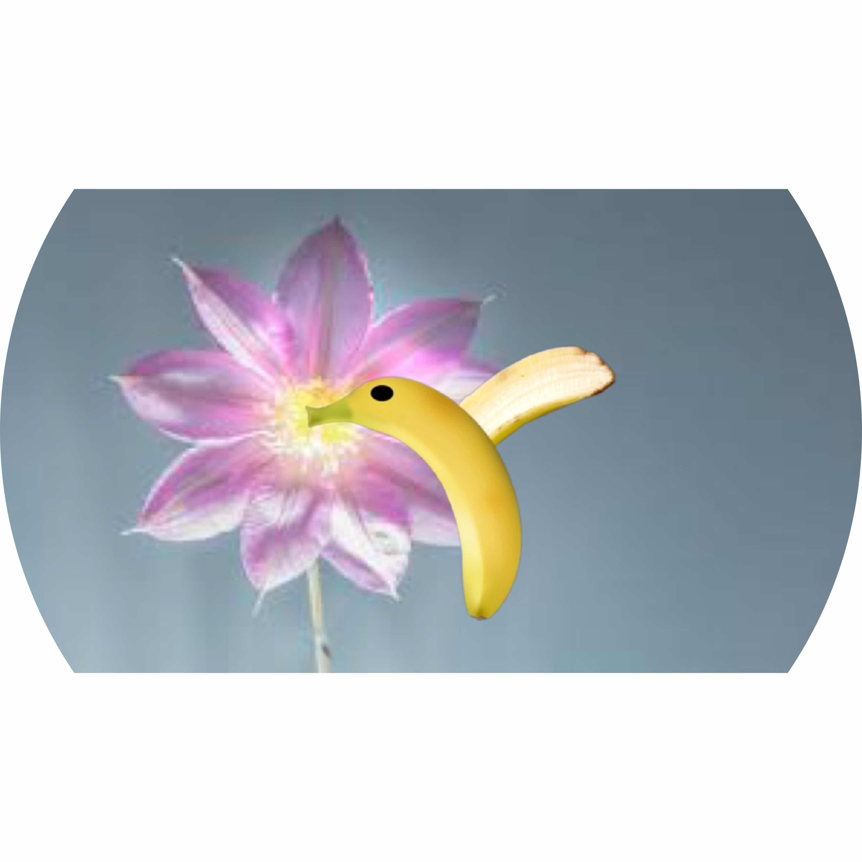 avatar of 1234323432