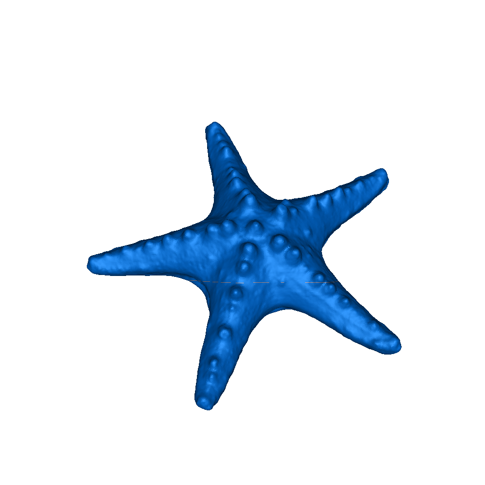 Eastern Sea Star | 3D models download | Creality Cloud