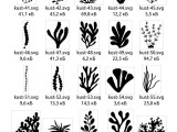 2D profiles Seaweed aquarium-3