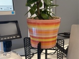 Vase Suppor 12Cm-6