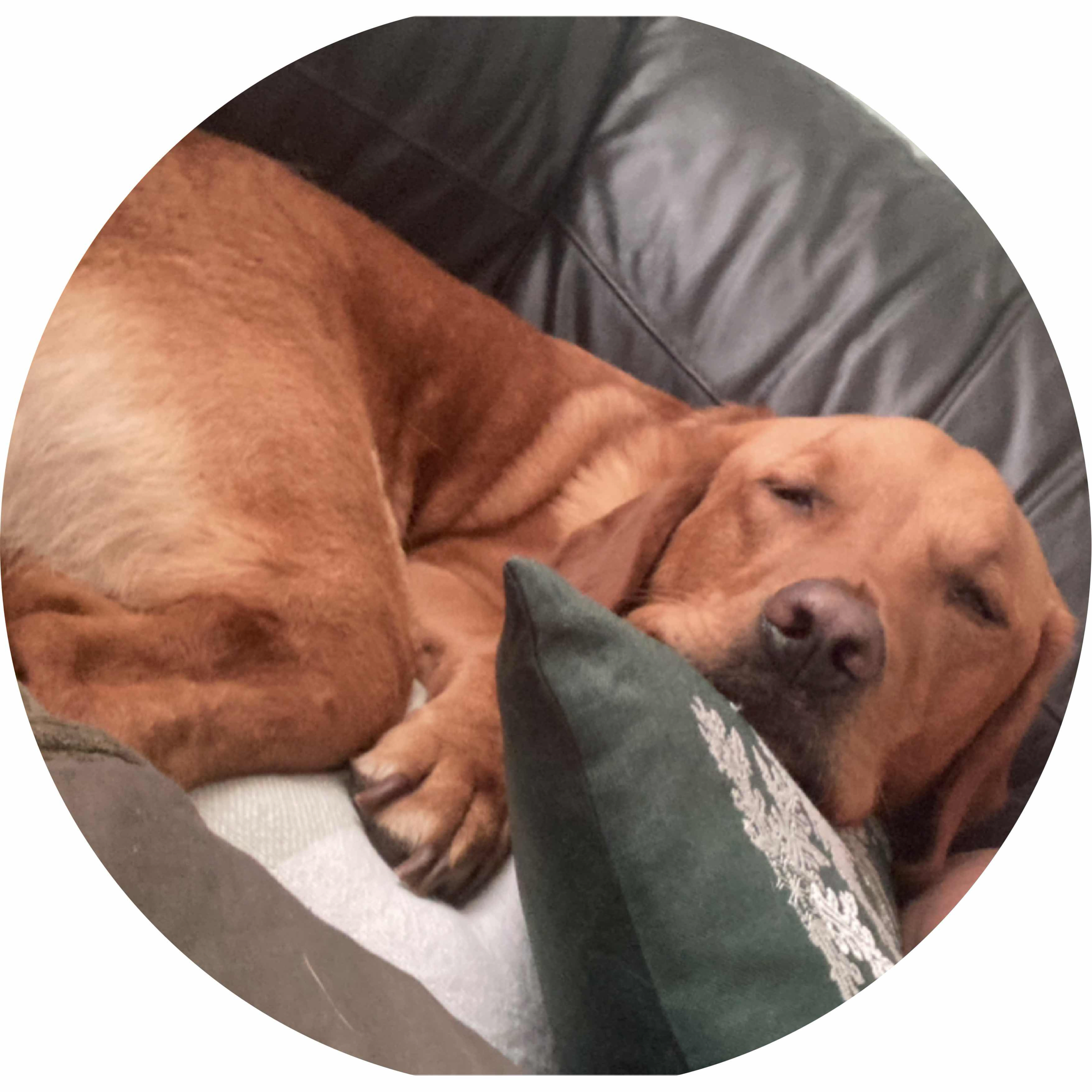 avatar of Mocman22