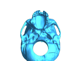 Skull with hidden compartment-3