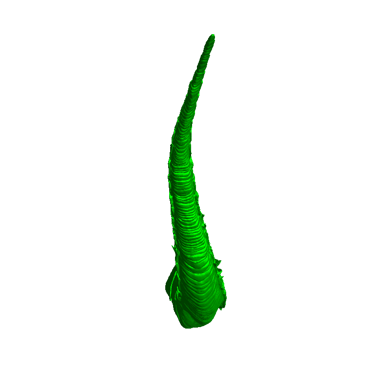 Godzilla Tail