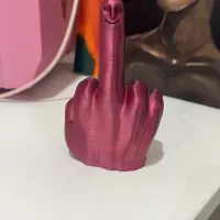MR. NICE GUY MIDDLE FINGER - EASY PRINT-1