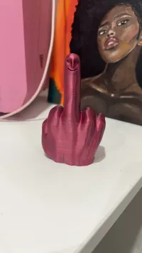 MR. NICE GUY MIDDLE FINGER - EASY PRINT-1