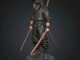 Ninja 6-2