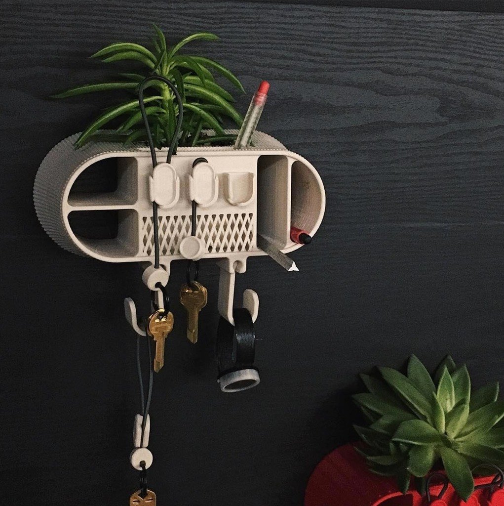 3D Printable Cactus Wall Hook by 3D BROOKLYN