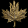 avatar of Canadian