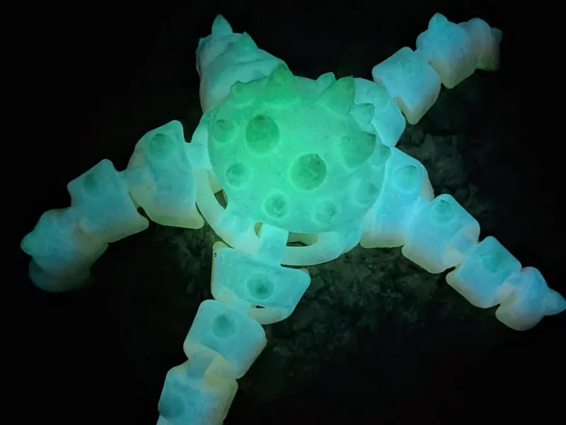Flexi Starfish - Horned Seastar / Chocolate Chip Seastar