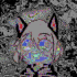 avatar of Kumokoapple