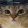 avatar of cattop