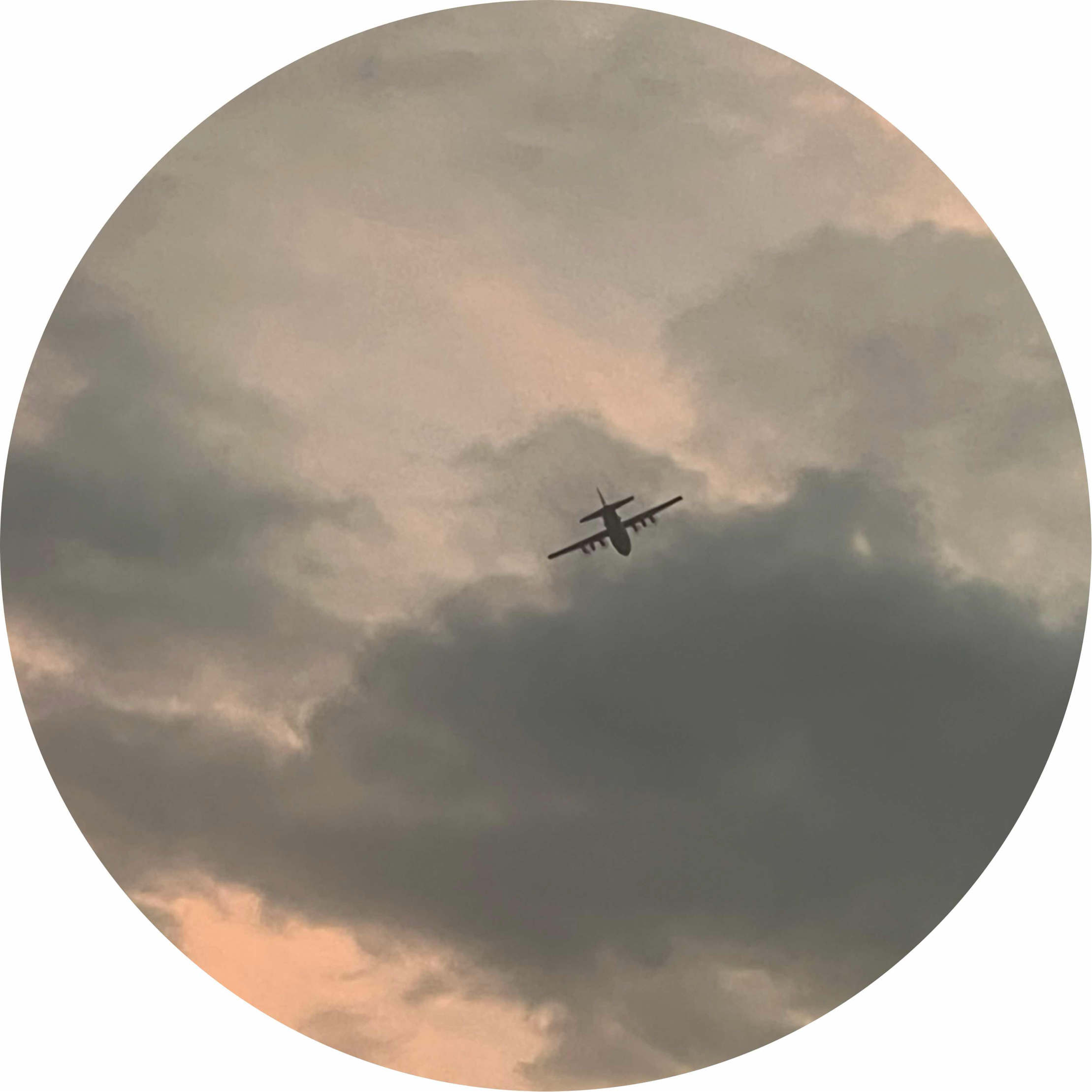 avatar of Carter Nunez