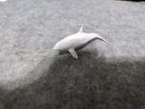 whale-6