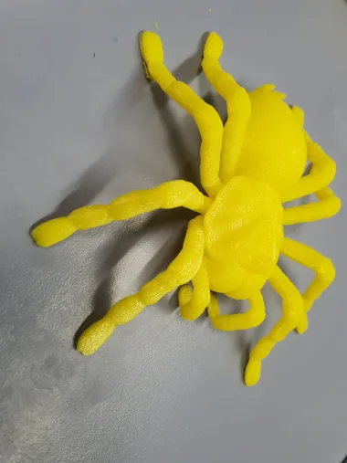Tarantula Spider-0
