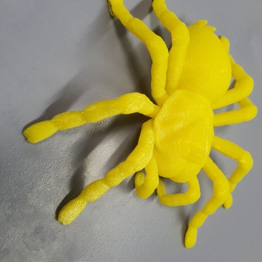 Tarantula Spider-0