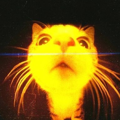 avatar of Antares