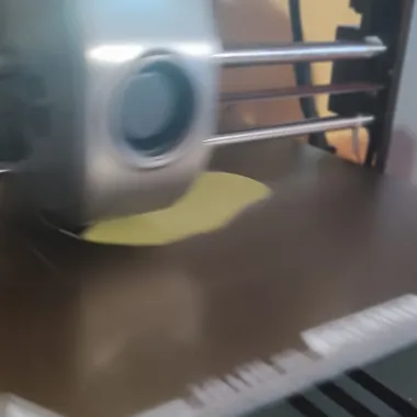 cat-1