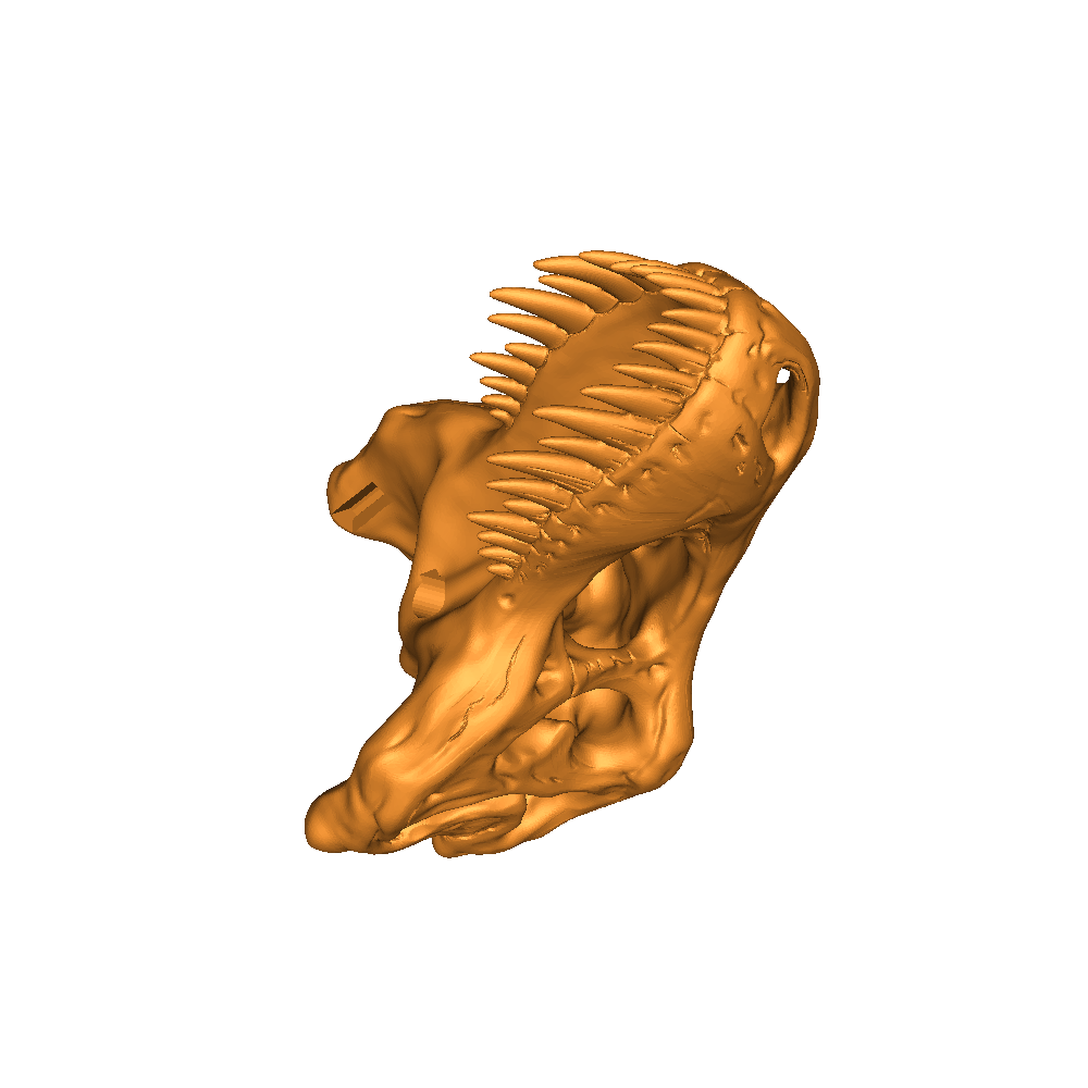 T-Rex Kafatası