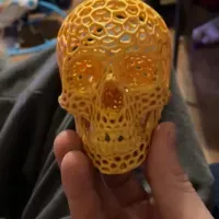 Voronoi-style Skull with no supports-2