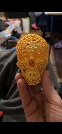Voronoi-style Skull with no supports-2