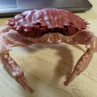 crab case-0