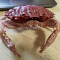 crab case-0