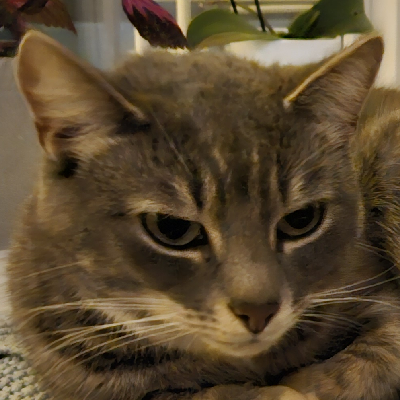 avatar of Tobias N.