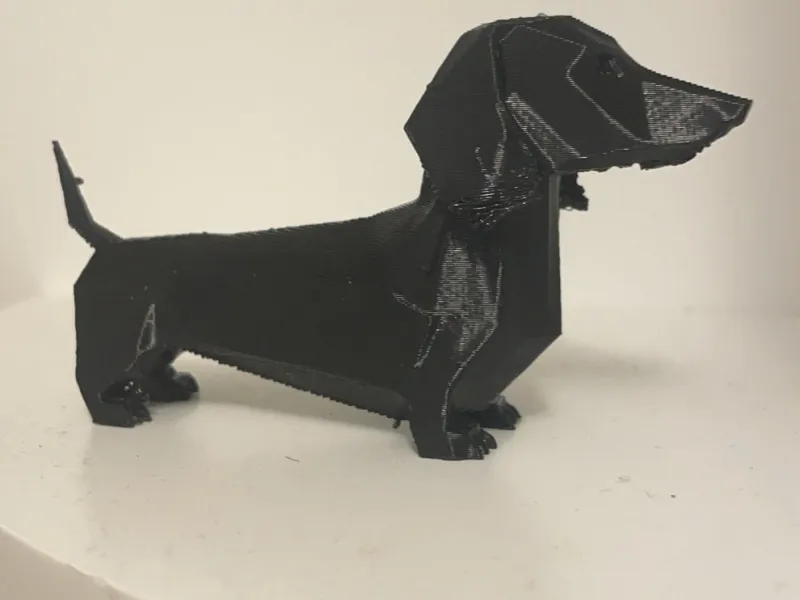 Cali-dachshund 
