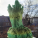 avatar of 3DHobbymaker