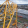 avatar of gas27822782_tIjG