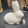 avatar of hippity