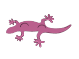 sticky gecko-0