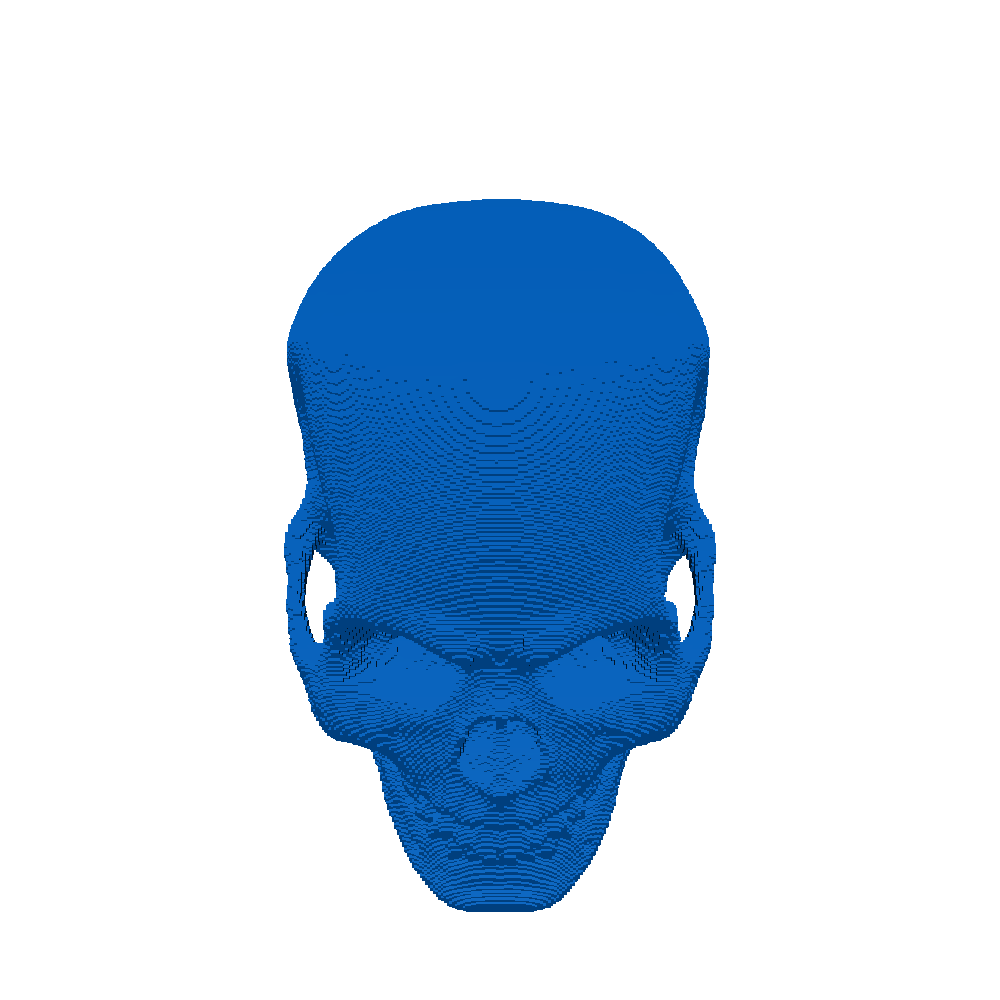 skull