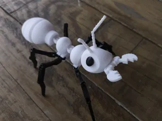 ant