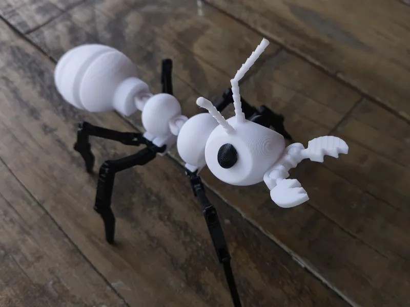 ant