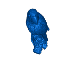 macaw bird-0
