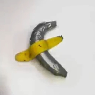 avatar of XrayonCrayon
