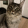 avatar of Leaping_leo