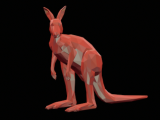 kangaroo -0