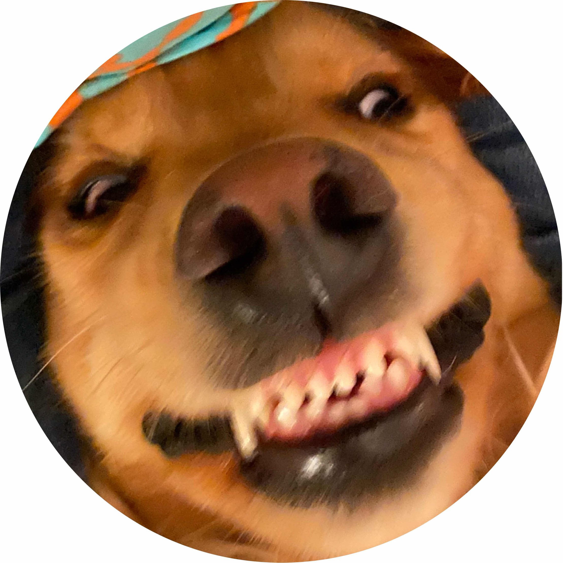 avatar of Im_alive13