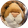 avatar of Luddy academy
