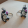 avatar of Freddy682