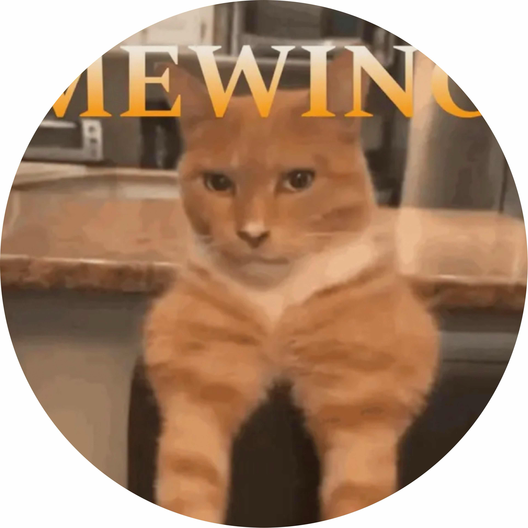 avatar of chefbuddyboy