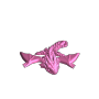 AmphiptereBaby