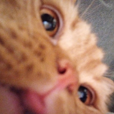 DuduXin - DB3DSTUDIO