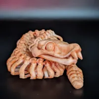 Articulated Flexi Rattle Snake Skeleton – print in place-1