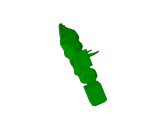 salamanders captain-2